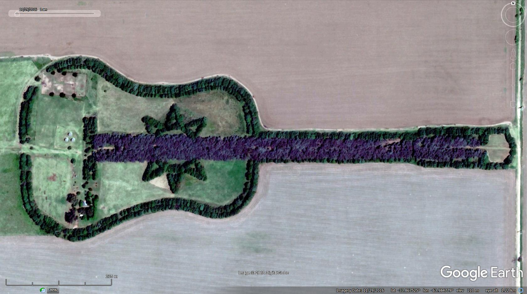 Man Plants Guitar Shaped Forest in Memory of His Wife.,Pedro Martin Ureta Tree Guitar Location